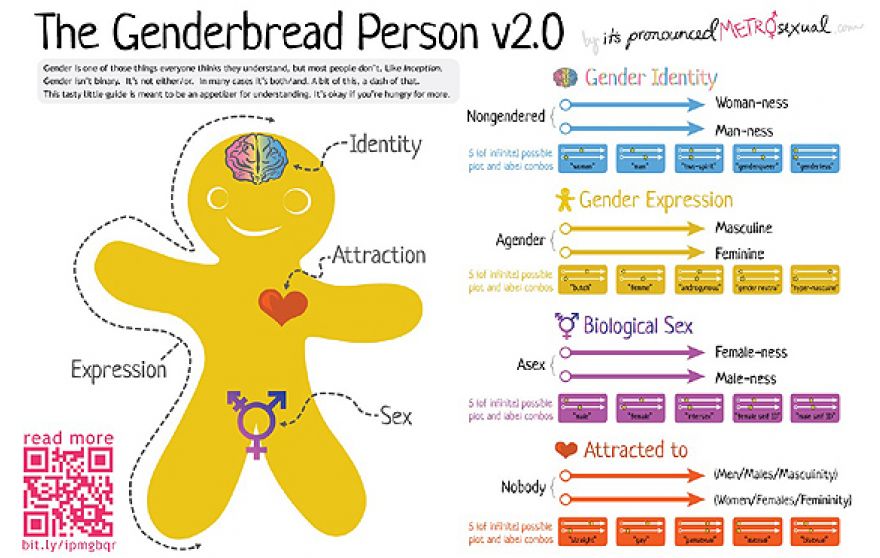 genderbread chart 2.jpg
